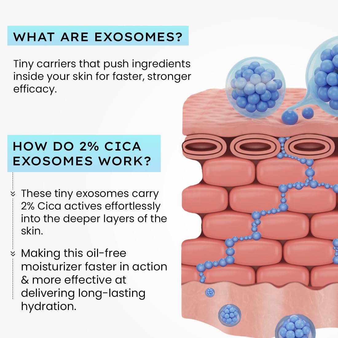 Hyphen 2% Cica Exosomes Oil-Free Moisturizer | 10X Deeper Hydration | Lightweight Water Gel with 5% Niacinamide | Controls Oil, Non-Comedogenic | Acne-Prone, Dry & Oily Skin - 50ml