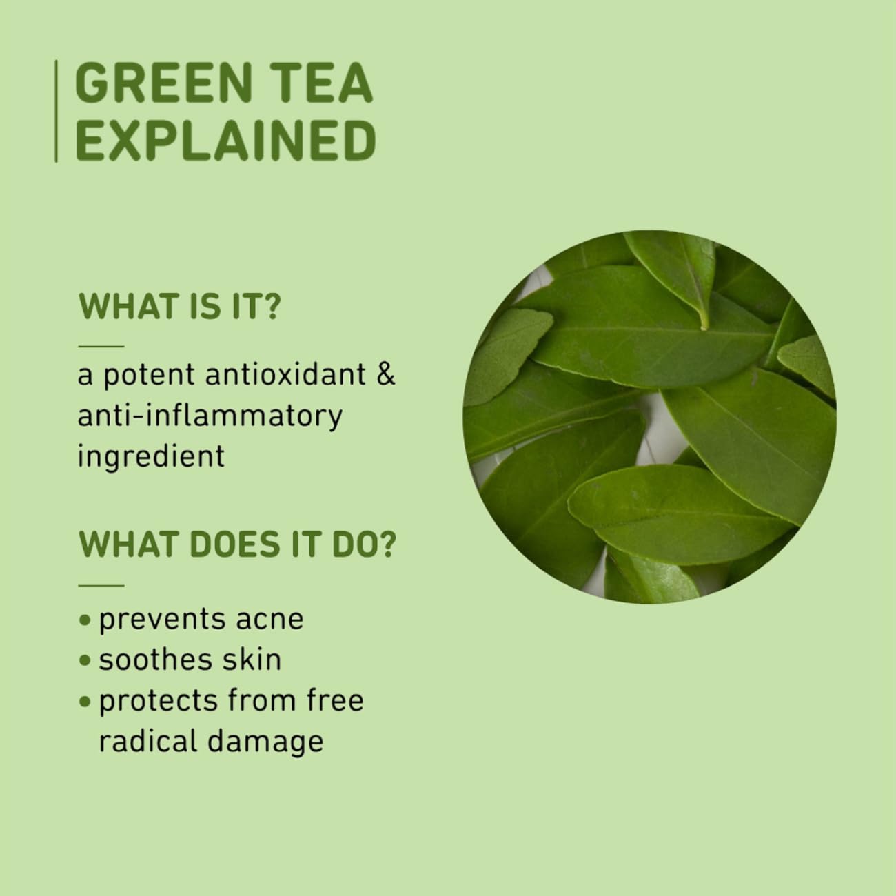 Plum Green Tea Oil-Free Face Moisturizer | With Niacinamide & Hyaluronic Acid | Fights Pimples & Hydrates | 50ml